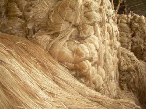 Raw jute fiber bundles ready for processing in Jucofabs manufacturing facility