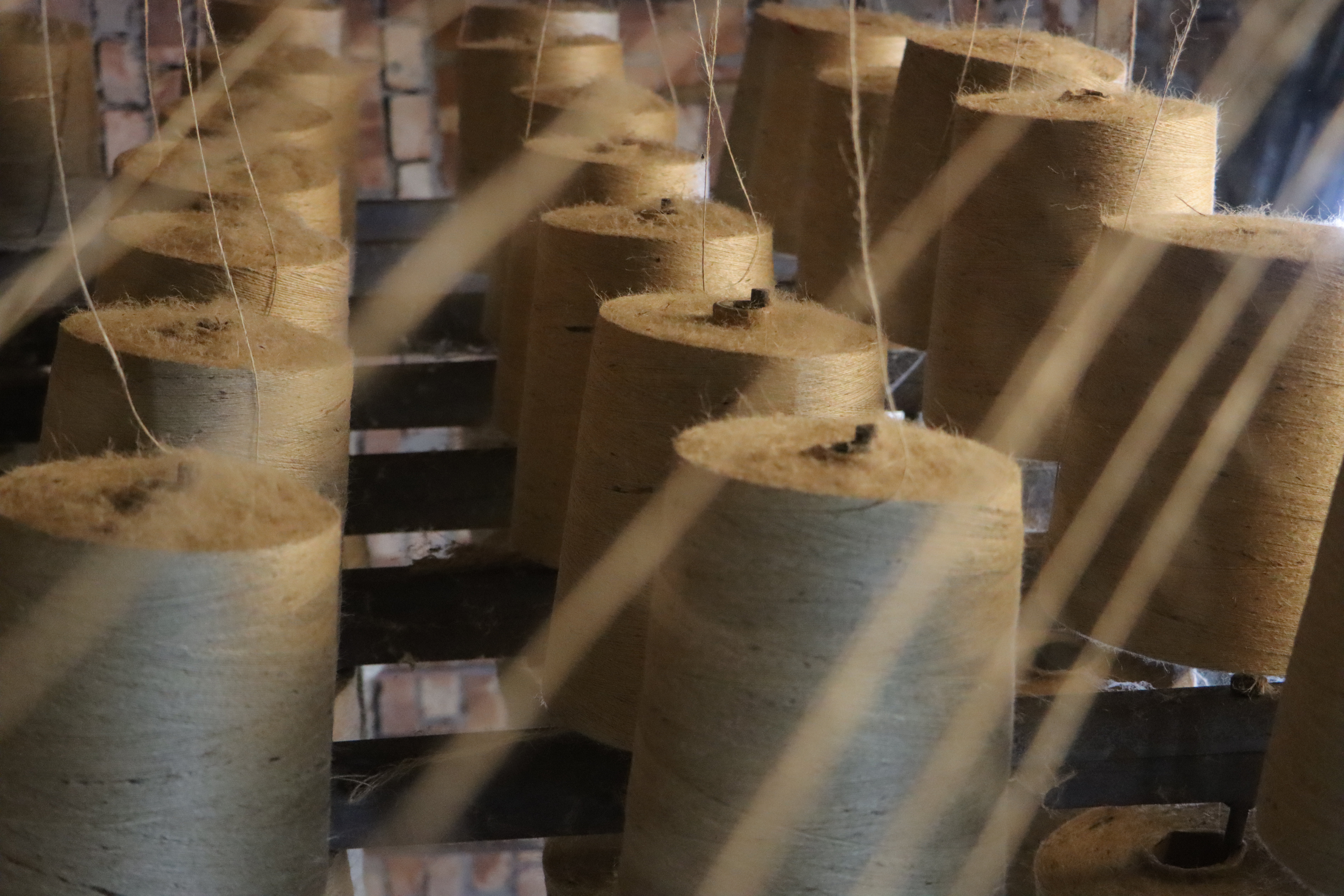 Spun jute yarn spools ready for weaving into fabric at Jucofabs